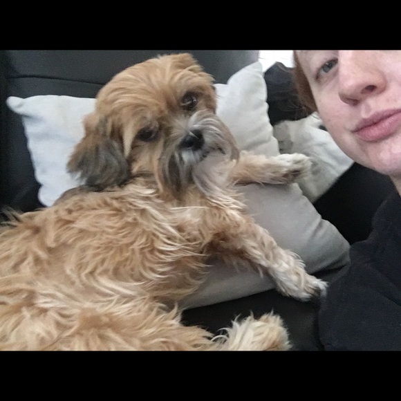 Meet your Posher, Megan - Picture 2 of 2